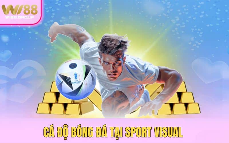 4-ca-do-bong-da-tai-sport-visual