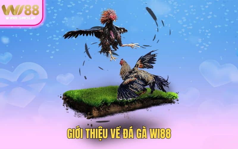 gioi-thieu-ve-da-ga-wi88