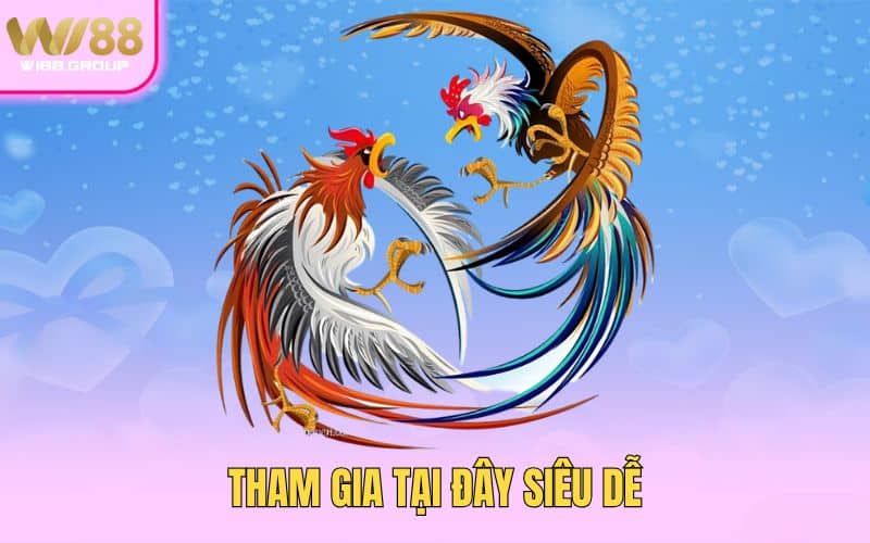 tham-gia-tai-day-sieu-de